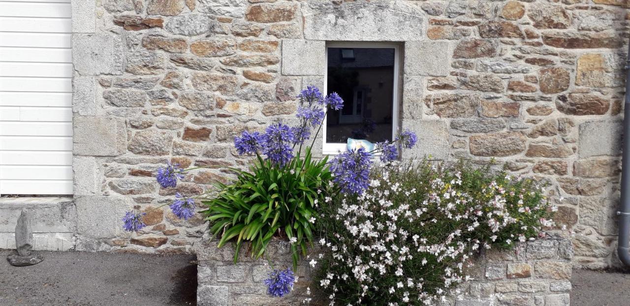 Au Calme A 10Mn Des Baies De Douarnenez Et Audierne Avec Cuisine A Disposition Mahalon Екстериор снимка